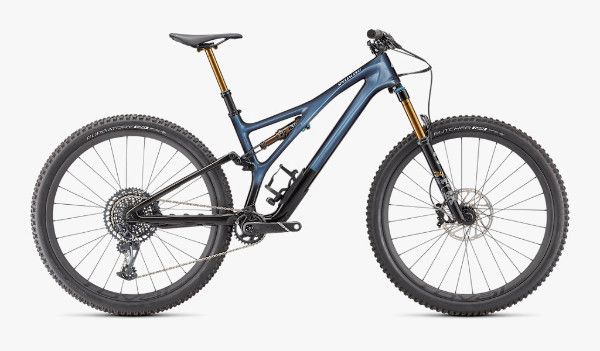 2021 best sale stumpjumper pro