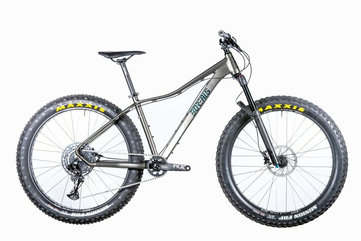 Silver 2022 Borealis Flume fat bike