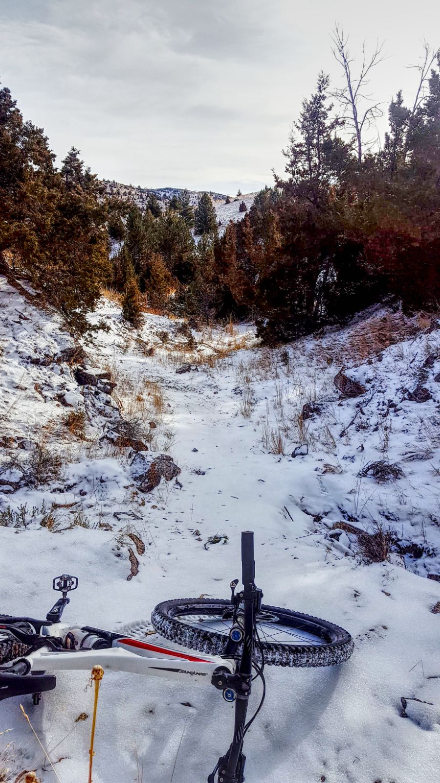 Mountain bike in the winter on a snowy trail