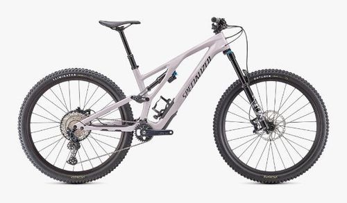 Light gray 2021 Specialized Stumpjumper EVO Comp mountain bike