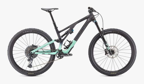 Oasis green 2021 Specialized Stumpjumper EVO Expert mountain bike