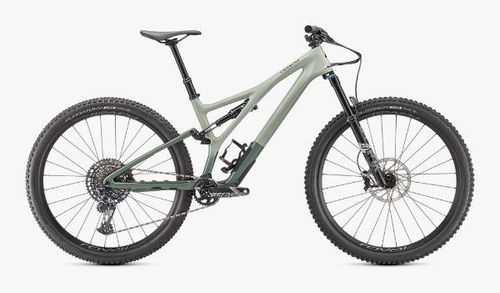 Sage green 2021 Specialized Stumpjumper Expert mountain bike